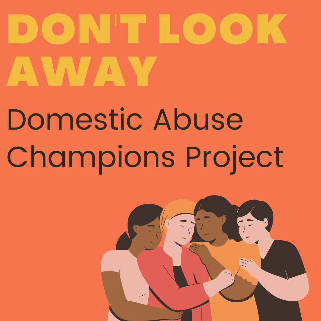 Don't Look Away (Domestic Abuse Champions Project) Changing Relations